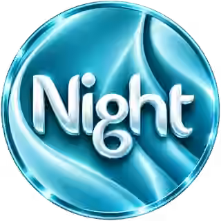 شعار NIGHT STORE المعتمد